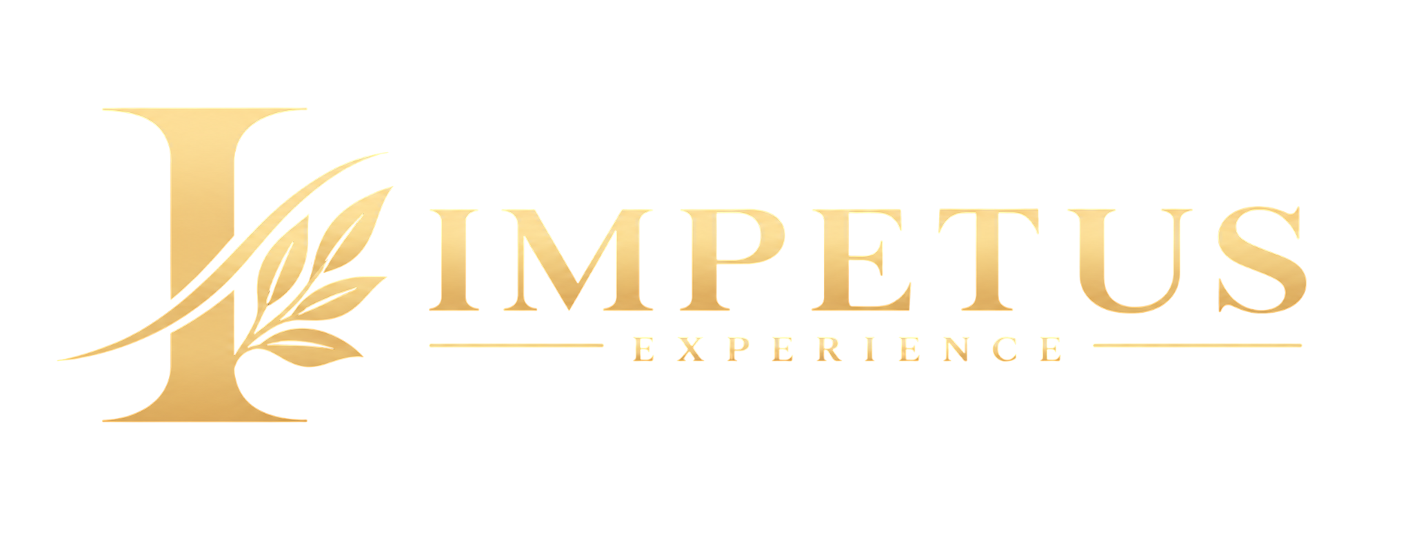 Impetus Experience